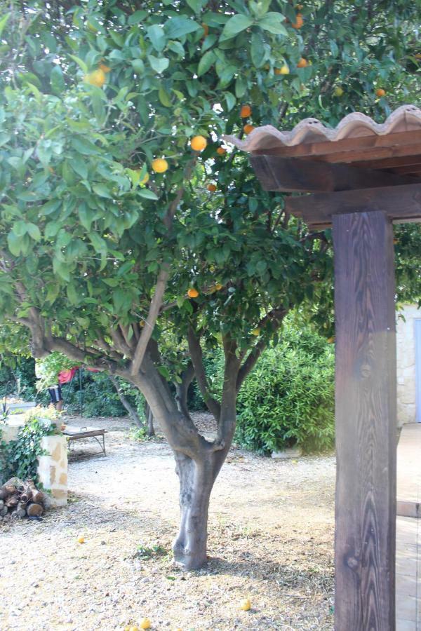 Appartamento Mas De L'Olivier Saint-Estève Esterno foto
